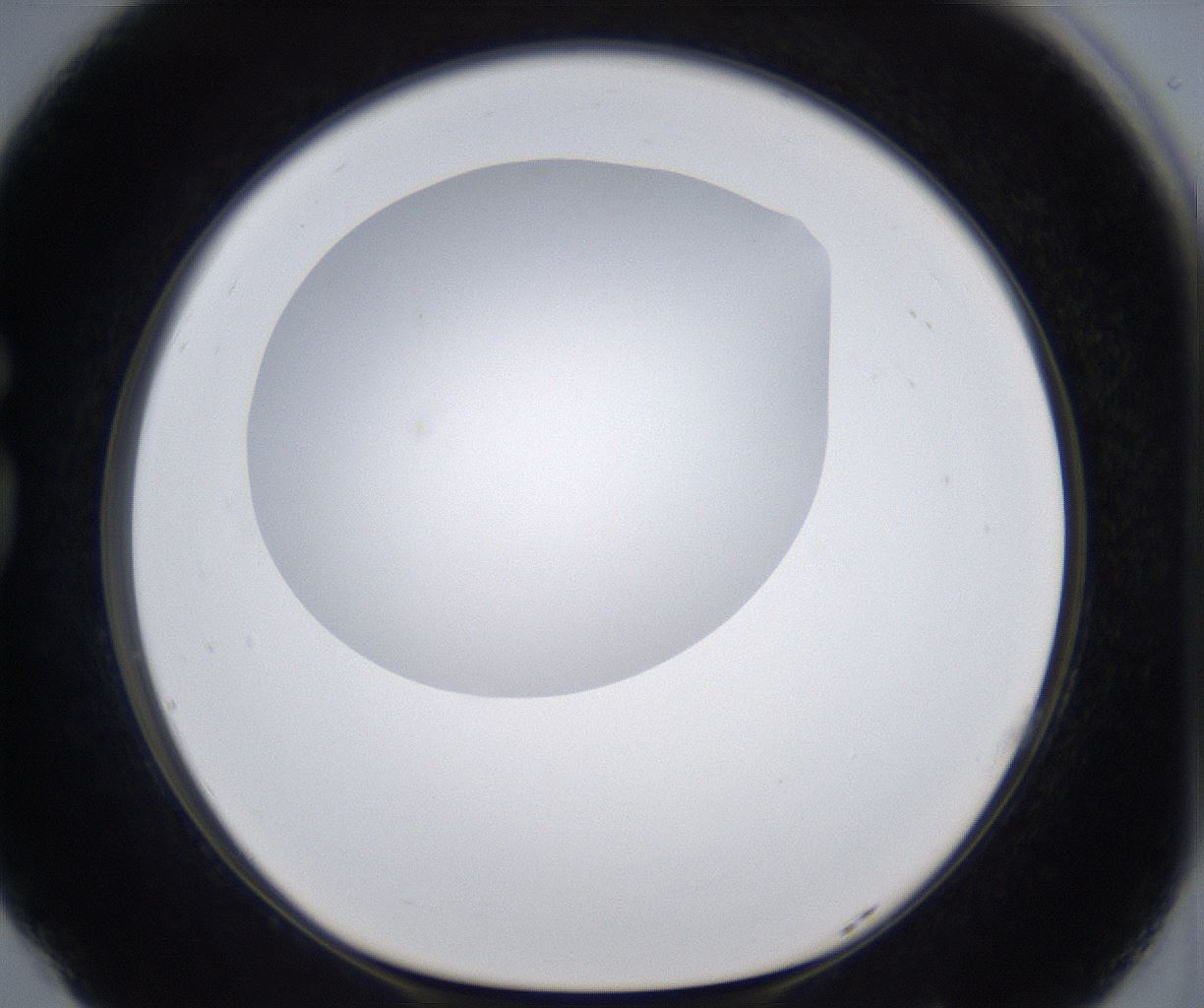 folderID297_plateID2297_batchID10839_wellNum77_profileID1_d1_r160922_ef.jpg