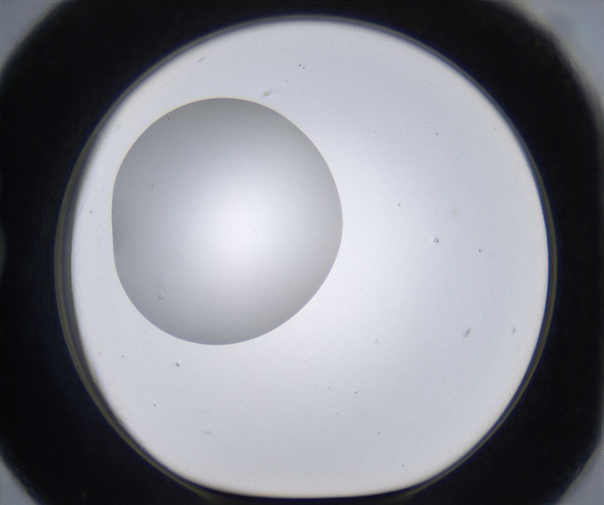 folderID297_plateID2297_batchID10839_wellNum79_profileID1_d1_r160924_ef.jpg