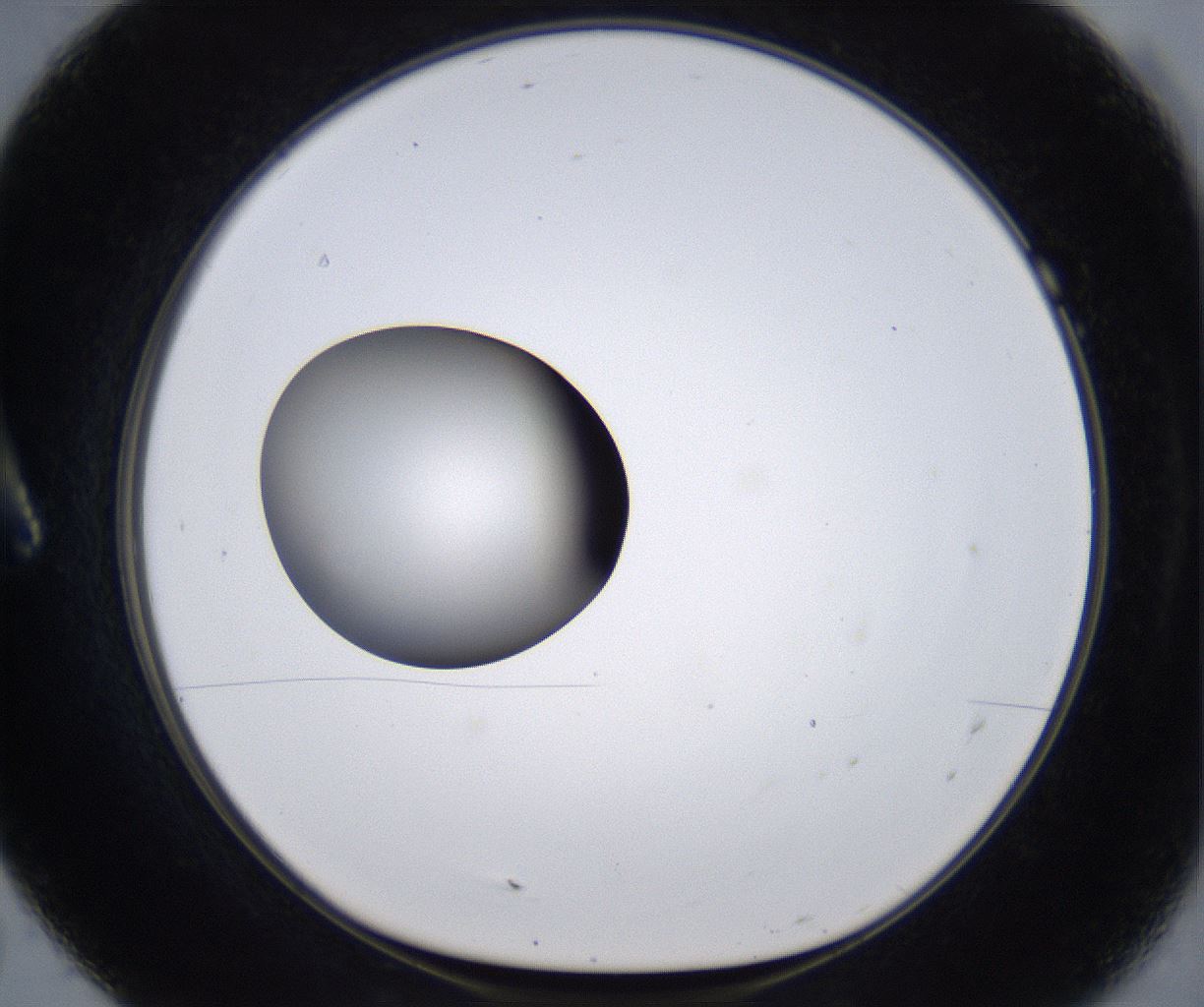 folderID297_plateID2297_batchID10839_wellNum7_profileID1_d1_r160852_ef.jpg