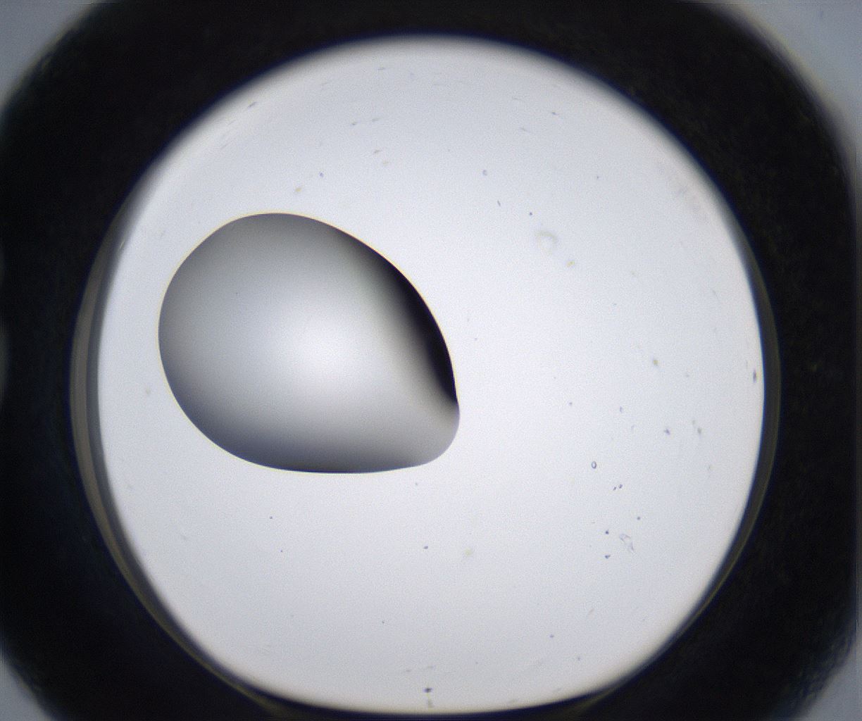folderID297_plateID2297_batchID10839_wellNum80_profileID1_d1_r160925_ef.jpg