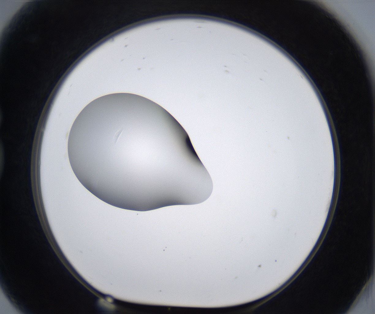 folderID297_plateID2297_batchID10839_wellNum81_profileID1_d1_r160926_ef.jpg