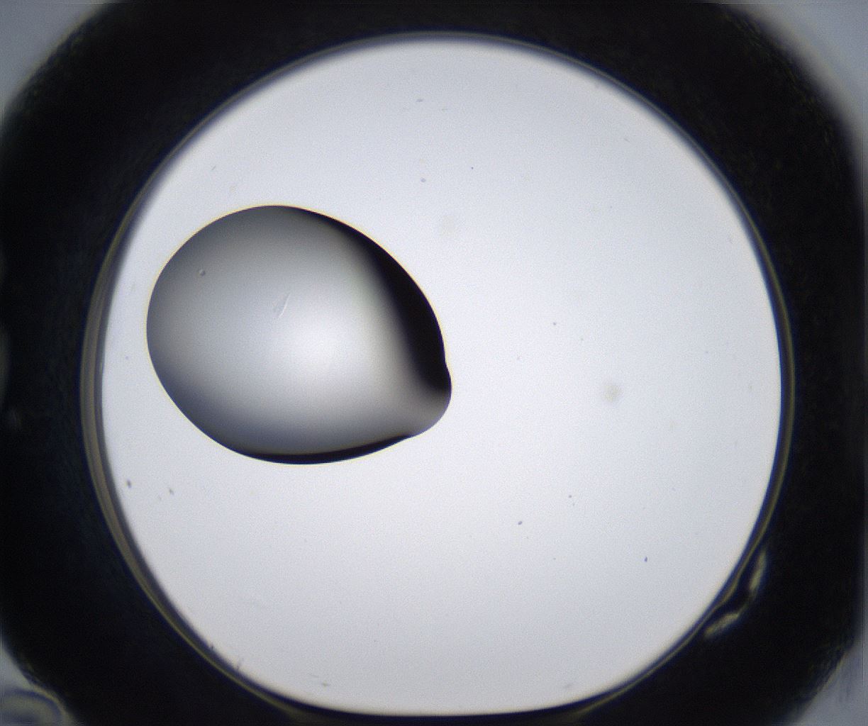 folderID297_plateID2297_batchID10839_wellNum82_profileID1_d1_r160927_ef.jpg