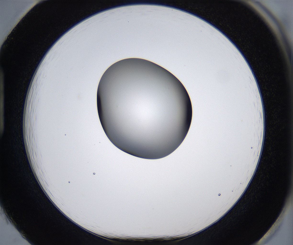 folderID297_plateID2297_batchID10839_wellNum85_profileID1_d1_r160930_ef.jpg