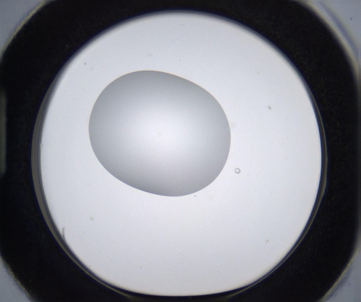 folderID297_plateID2297_batchID10839_wellNum87_profileID1_d1_r160932_ef.jpg