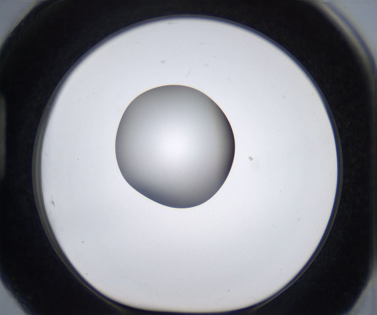 folderID297_plateID2297_batchID10839_wellNum89_profileID1_d1_r160934_ef.jpg