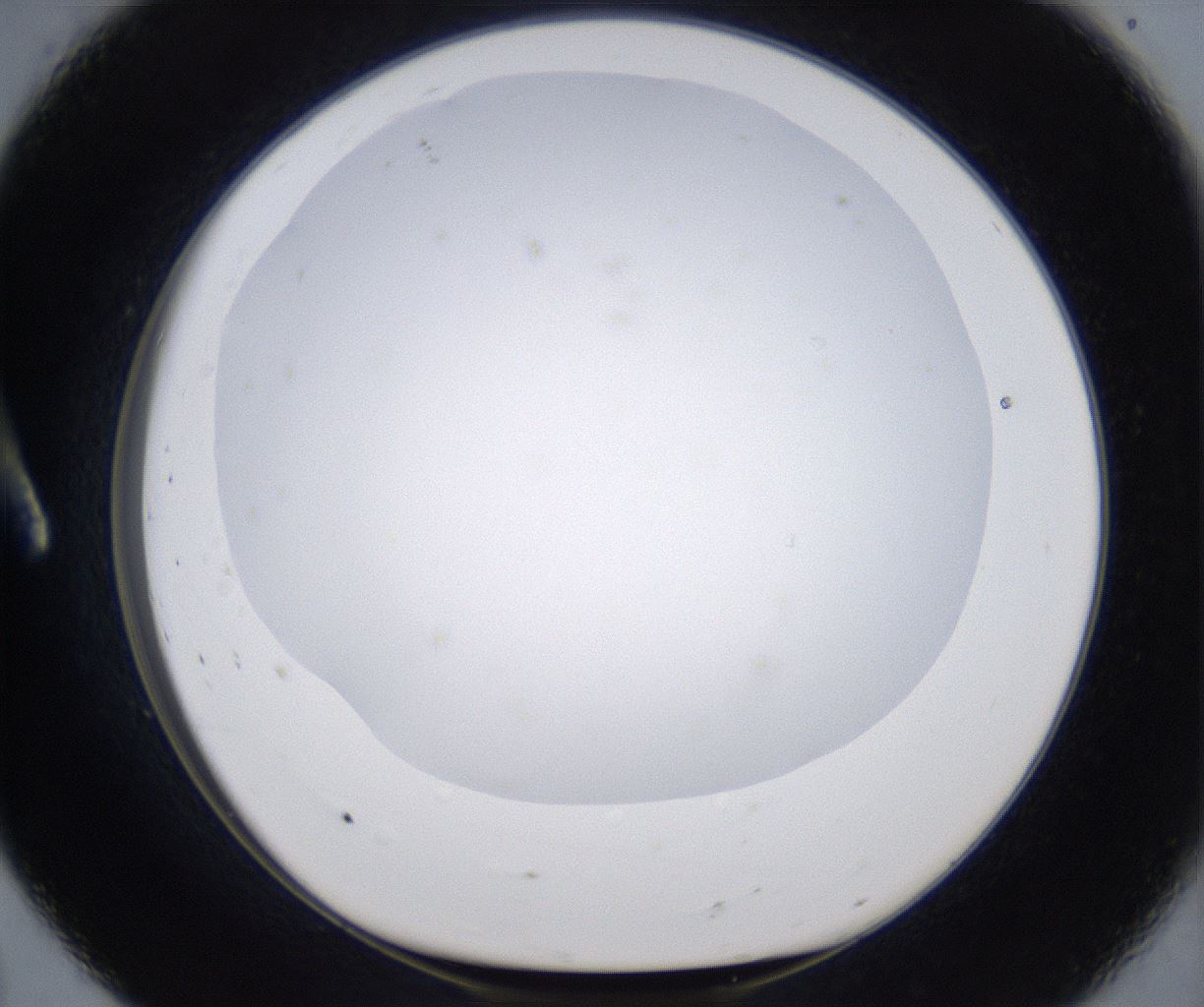 folderID297_plateID2297_batchID10839_wellNum8_profileID1_d1_r160853_ef.jpg