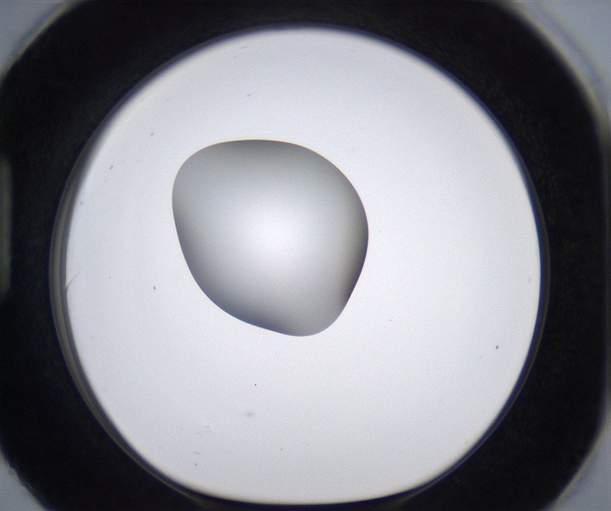 folderID297_plateID2297_batchID10839_wellNum90_profileID1_d1_r160935_ef.jpg
