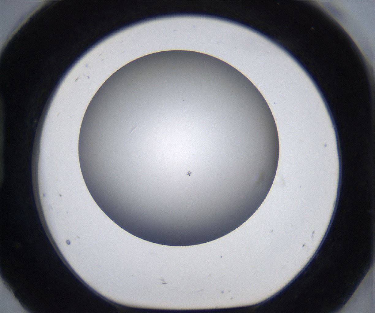 folderID297_plateID2297_batchID10839_wellNum92_profileID1_d1_r160937_ef.jpg