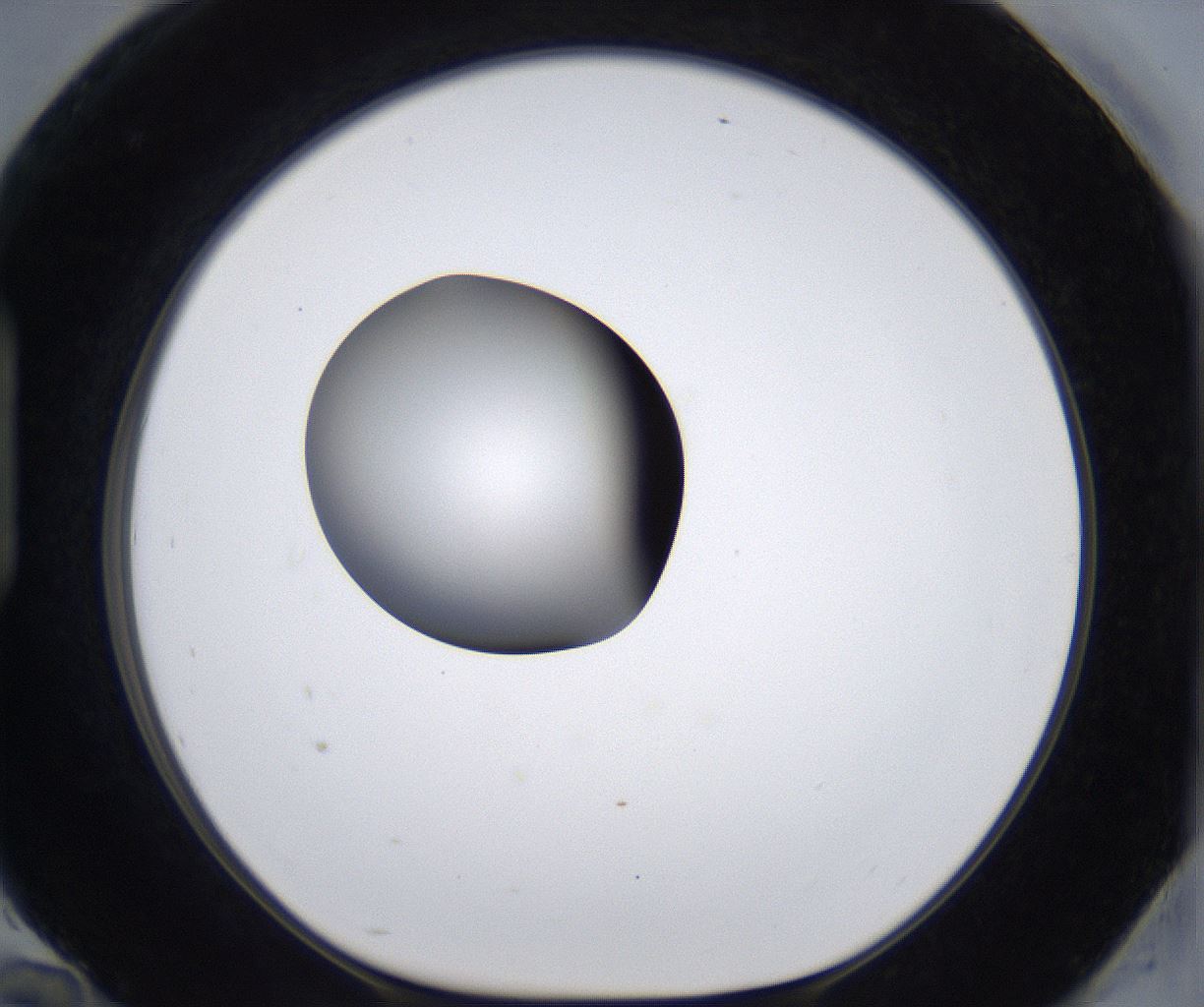 folderID297_plateID2297_batchID10839_wellNum94_profileID1_d1_r160939_ef.jpg