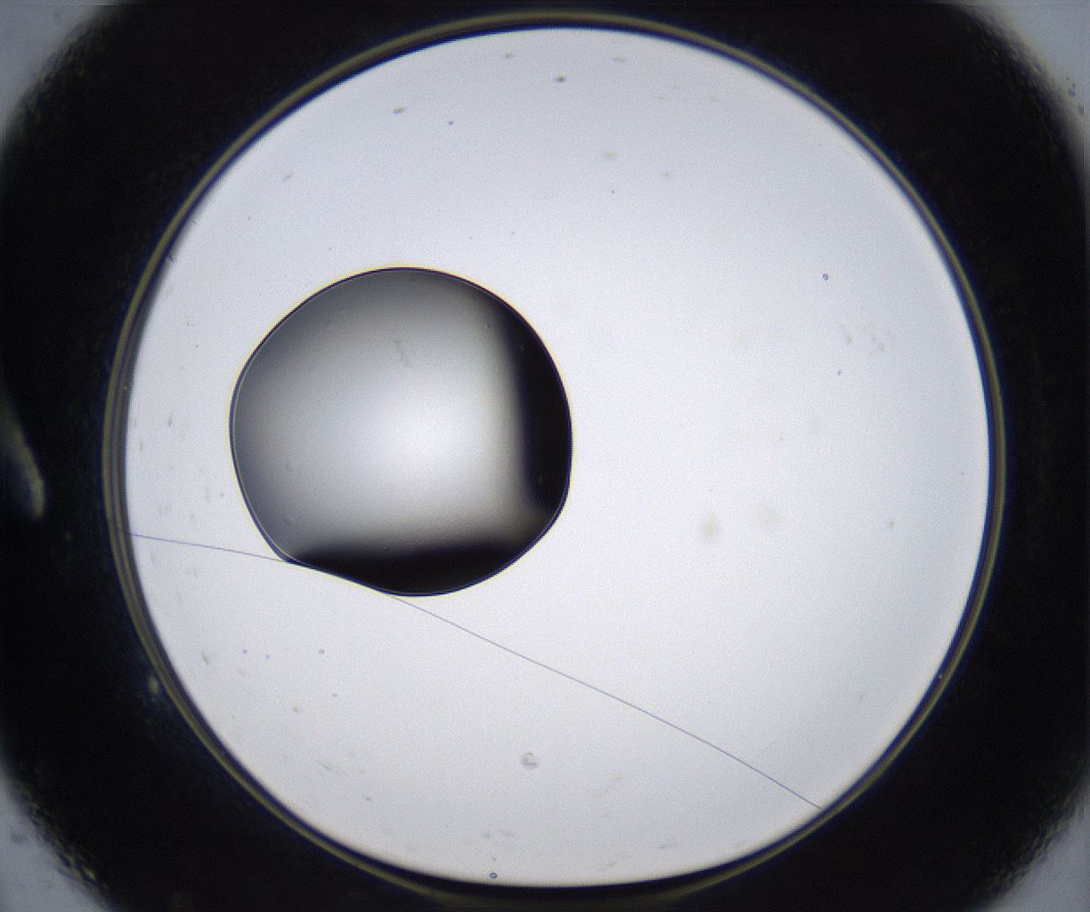 folderID297_plateID2297_batchID10839_wellNum9_profileID1_d1_r160854_ef.jpg