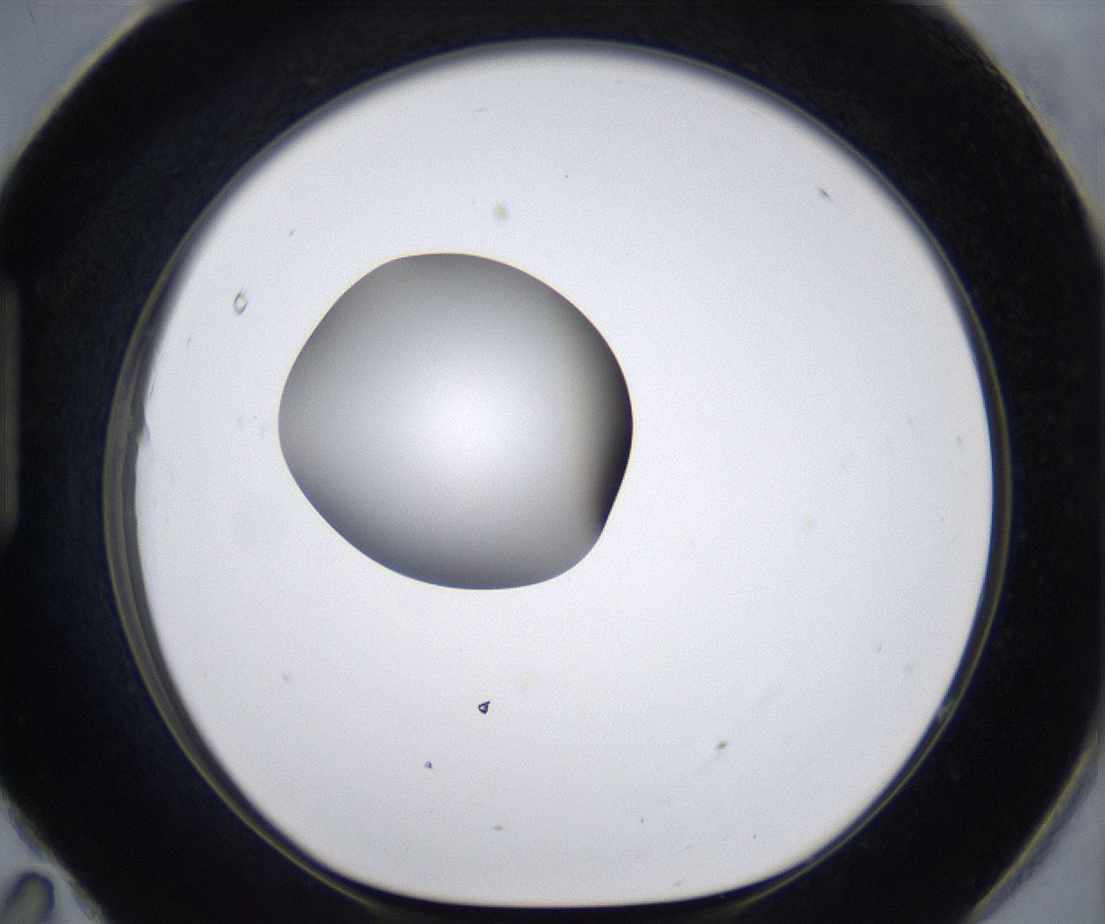 folderID297_plateID2297_batchID10839_wellNum95_profileID1_d1_r160940_ef.jpg