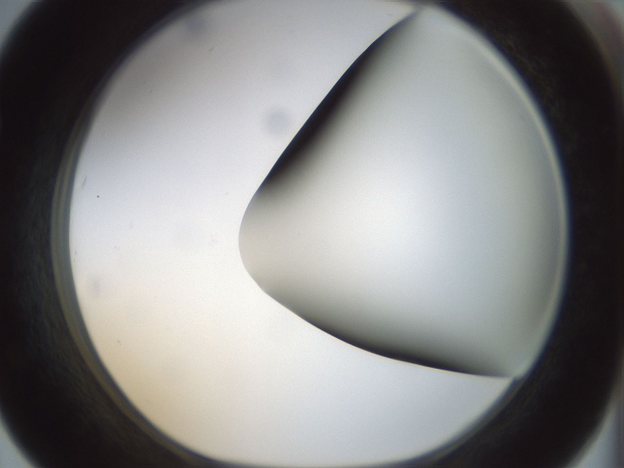 folderID299_plateID1299_batchID4304_wellNum67_profileID1_d1_r78650_ef.jpg