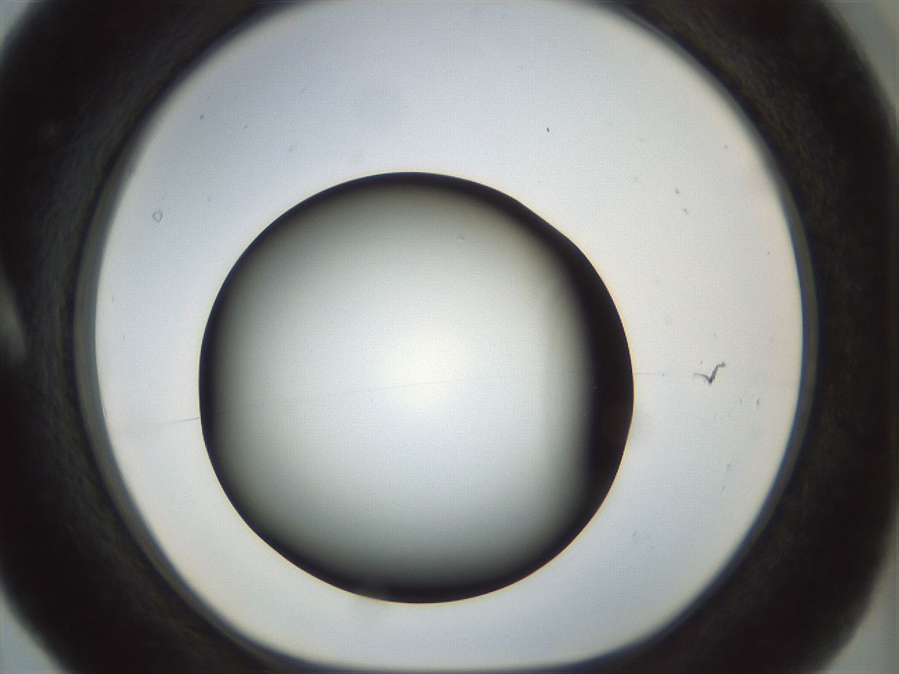 folderID298_plateID1298_batchID4261_wellNum5_profileID1_d1_r78204_ef.jpg
