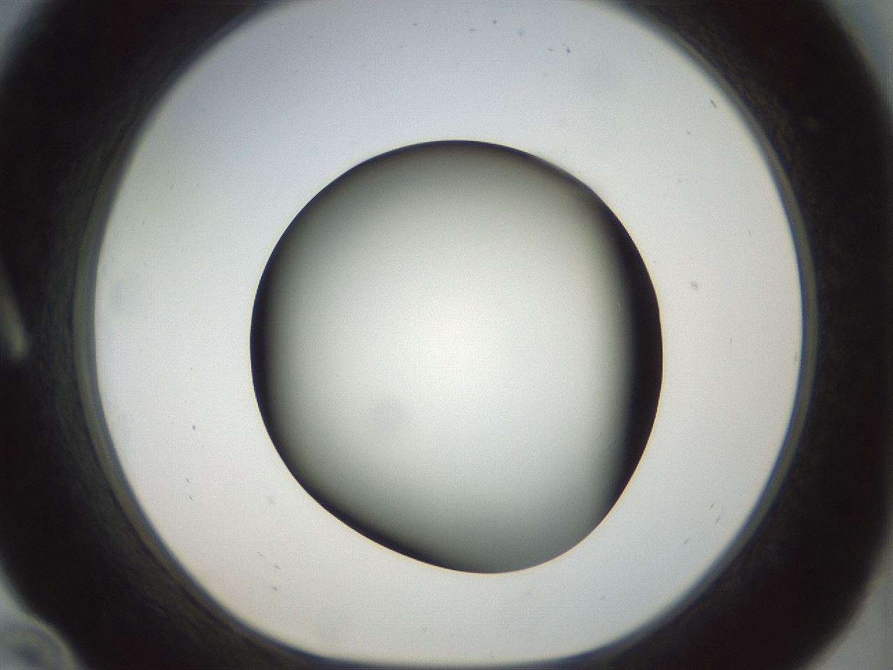 folderID298_plateID1298_batchID4298_wellNum10_profileID1_d1_r78209_ef.jpg