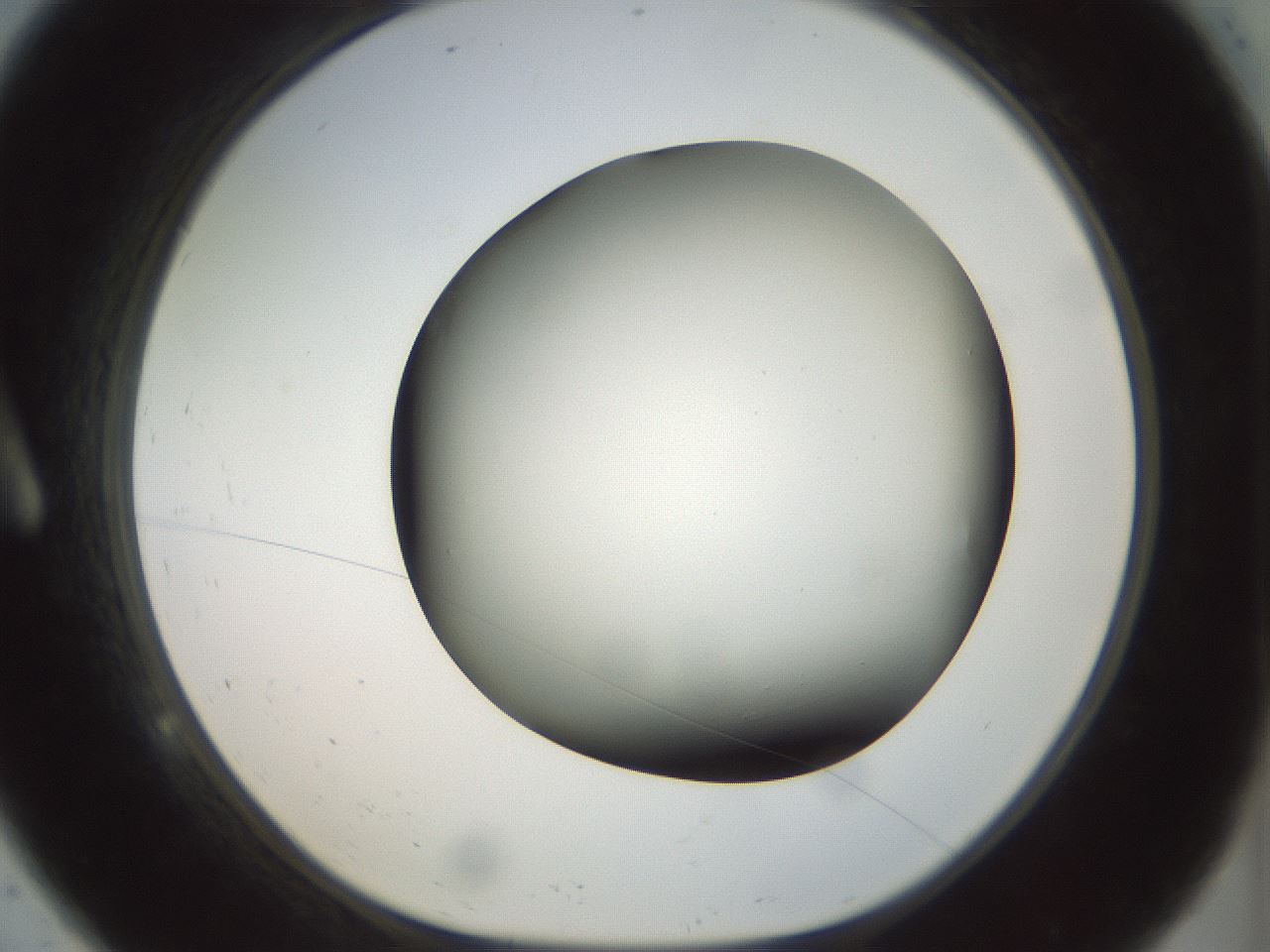 folderID298_plateID1298_batchID4261_wellNum9_profileID1_d1_r78208_ef.jpg
