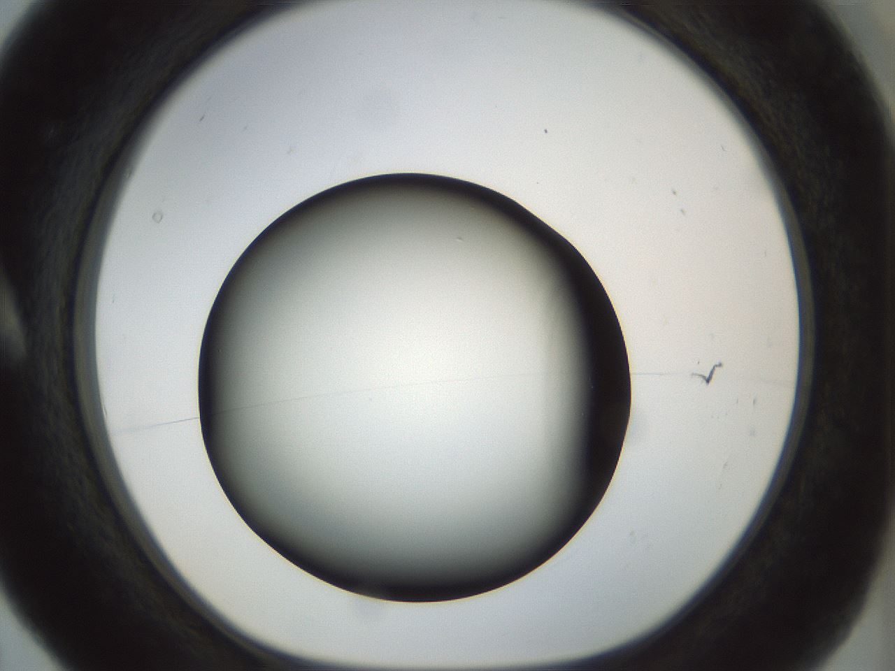 folderID298_plateID1298_batchID4298_wellNum5_profileID1_d1_r78204_ef.jpg