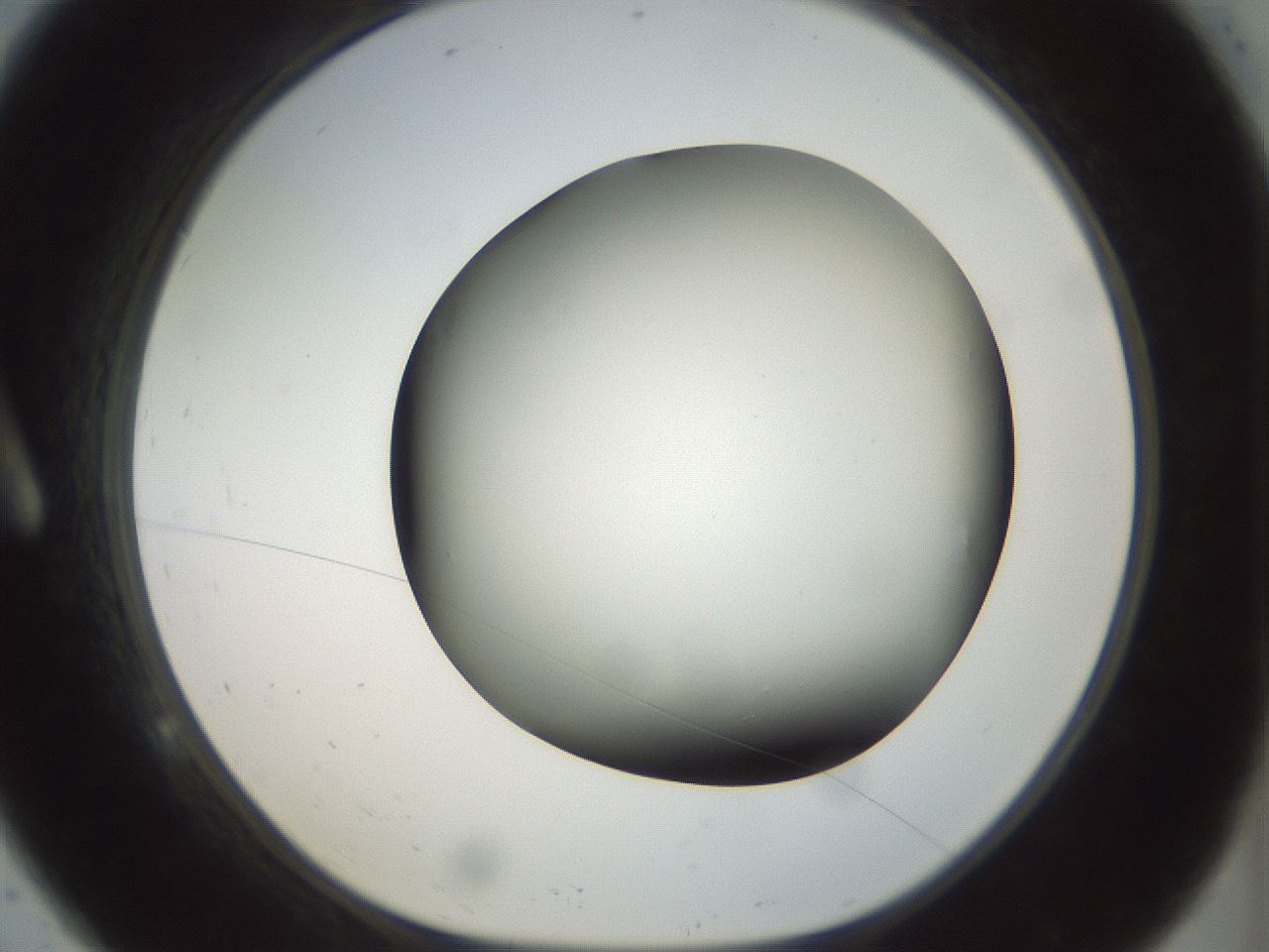 folderID298_plateID1298_batchID4298_wellNum9_profileID1_d1_r78208_ef.jpg