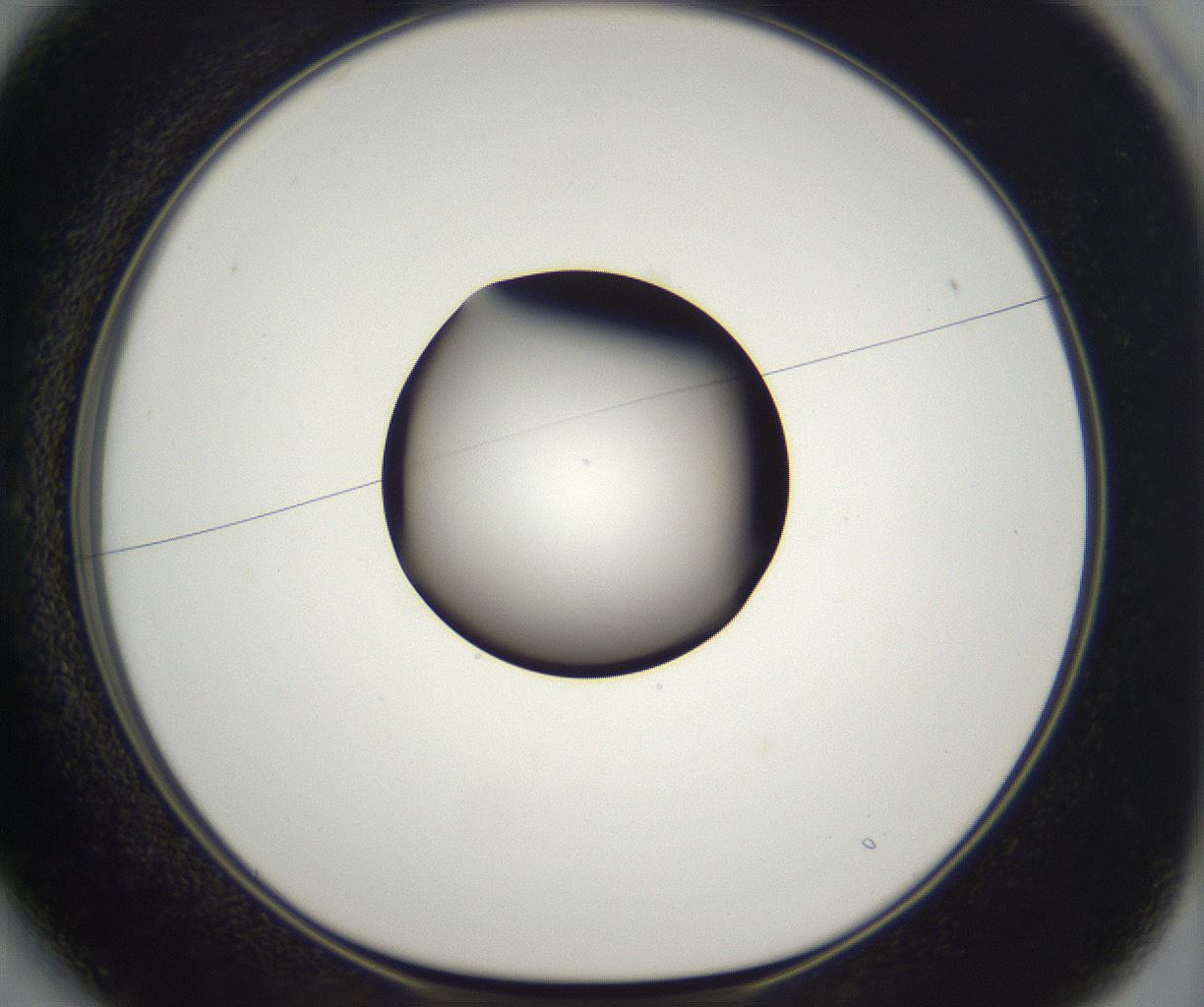 folderID298_plateID2298_batchID10853_wellNum13_profileID1_d1_r161530_ef.jpg