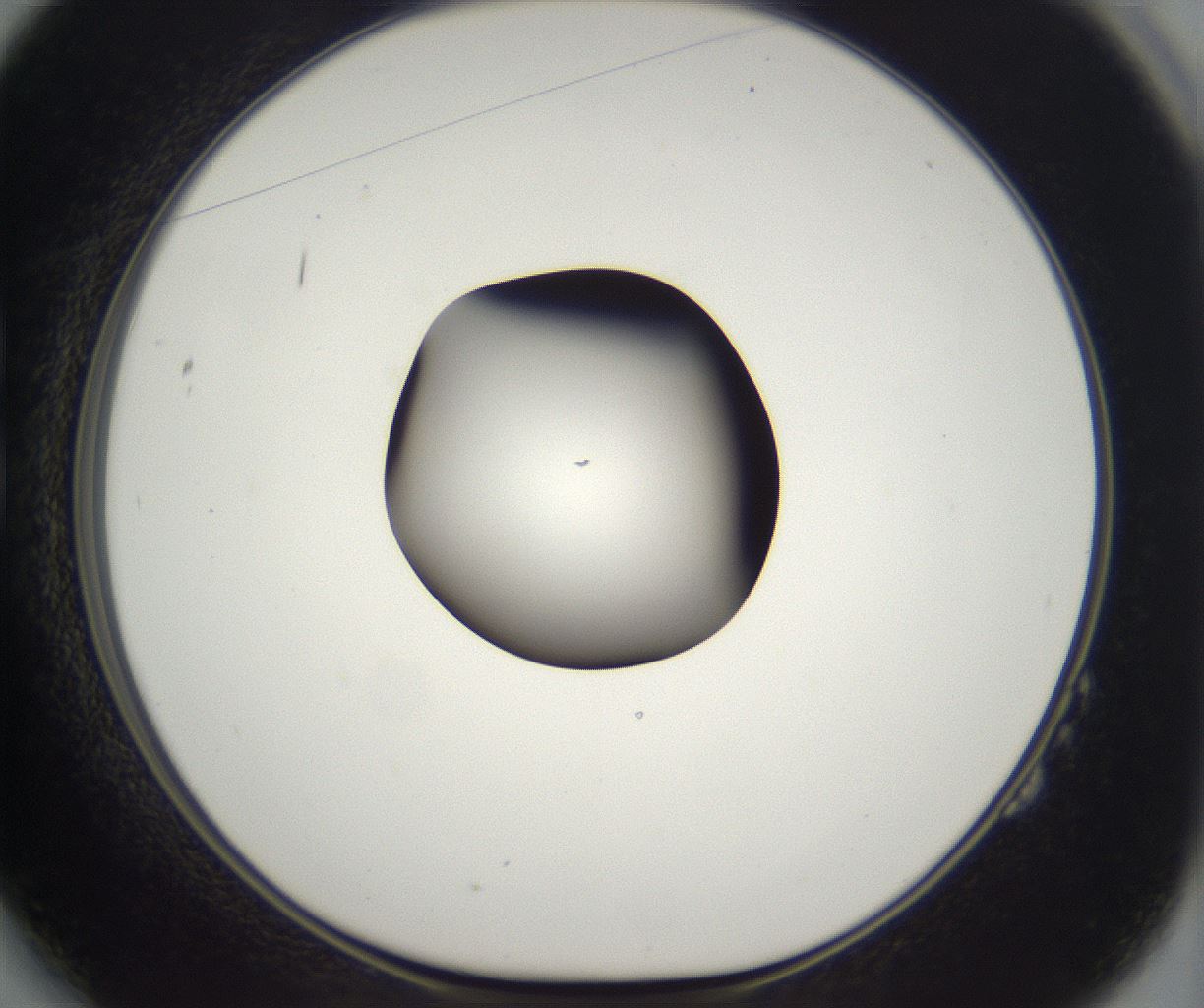 folderID298_plateID2298_batchID10853_wellNum14_profileID1_d1_r161531_ef.jpg