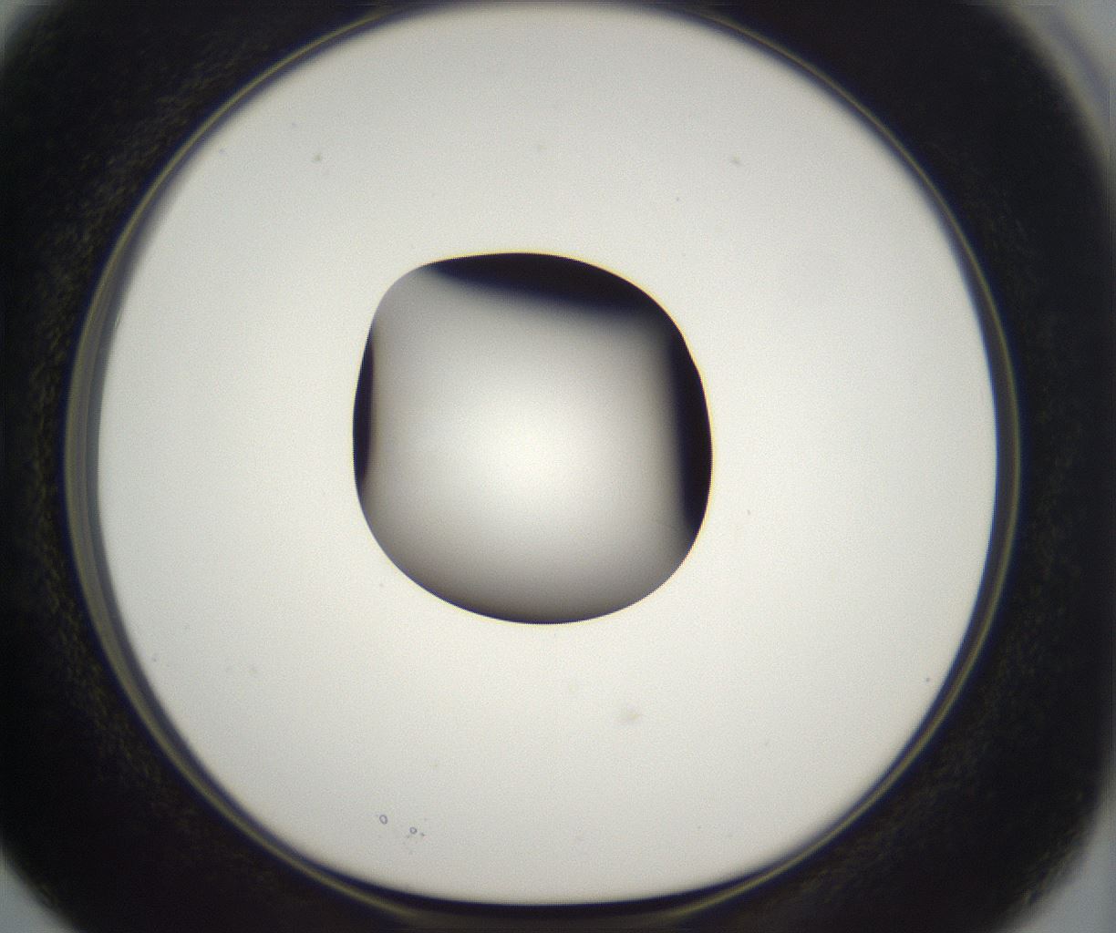 folderID298_plateID2298_batchID10853_wellNum15_profileID1_d1_r161532_ef.jpg