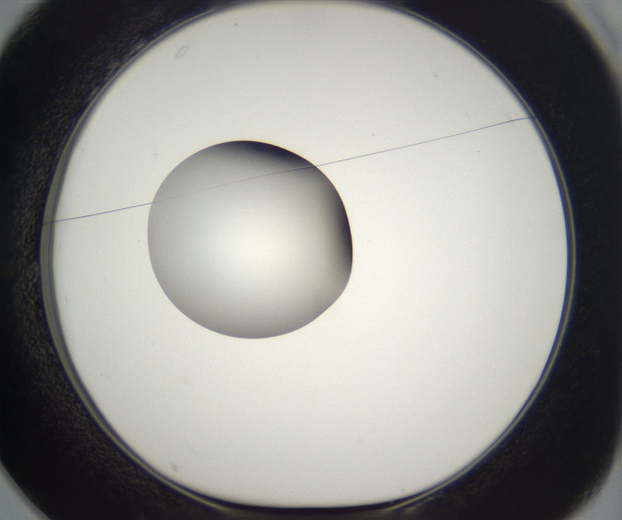 folderID298_plateID2298_batchID10853_wellNum25_profileID1_d1_r161542_ef.jpg