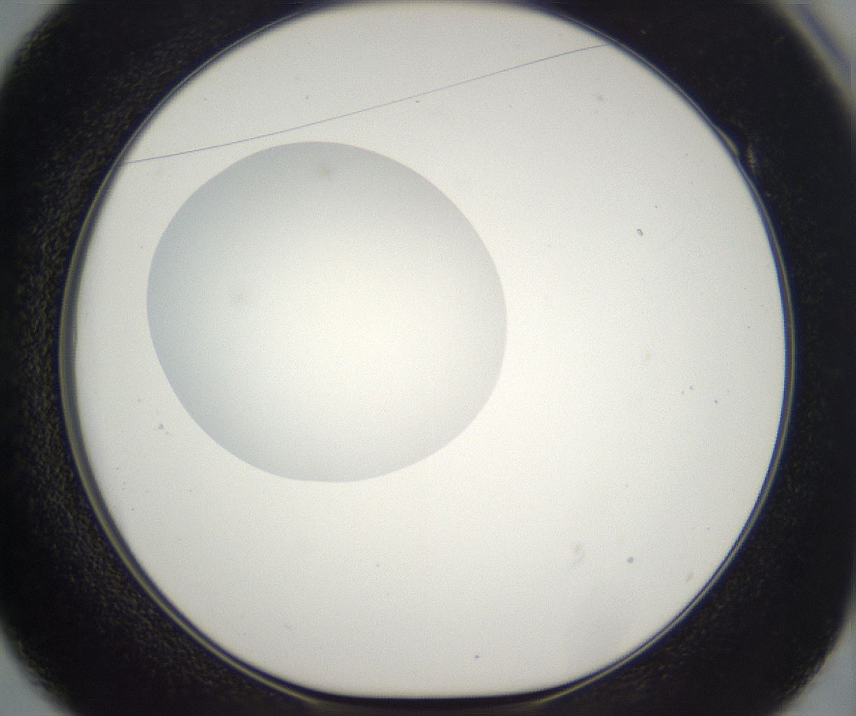folderID298_plateID2298_batchID10853_wellNum49_profileID1_d1_r161566_ef.jpg