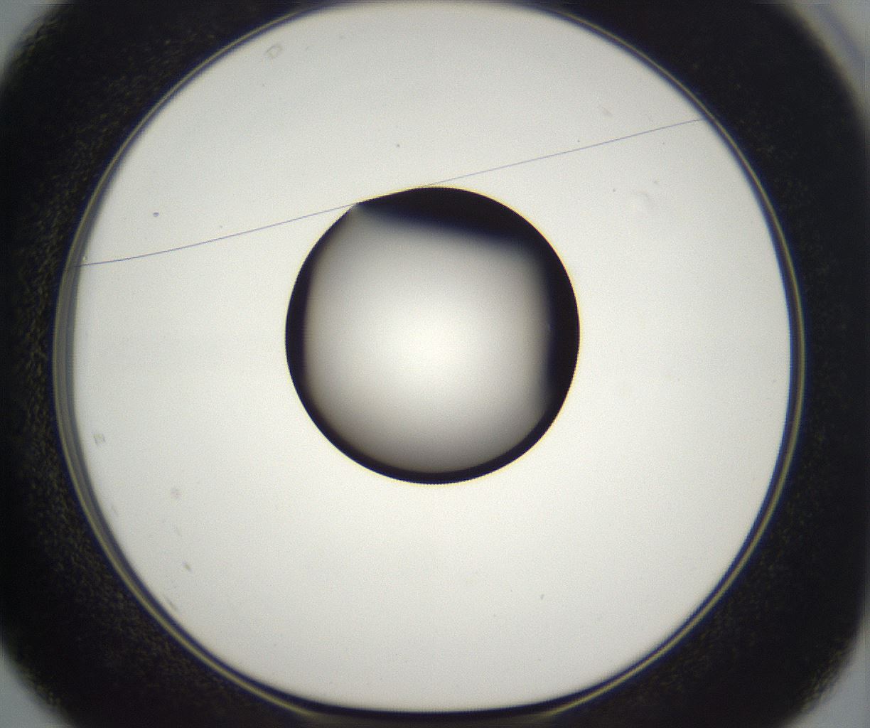 folderID298_plateID2298_batchID10853_wellNum37_profileID1_d1_r161554_ef.jpg