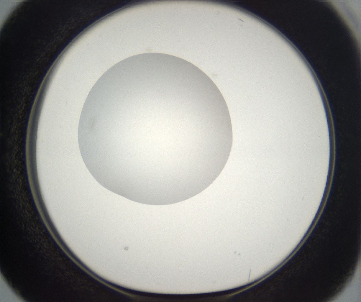 folderID298_plateID2298_batchID10853_wellNum38_profileID1_d1_r161555_ef.jpg