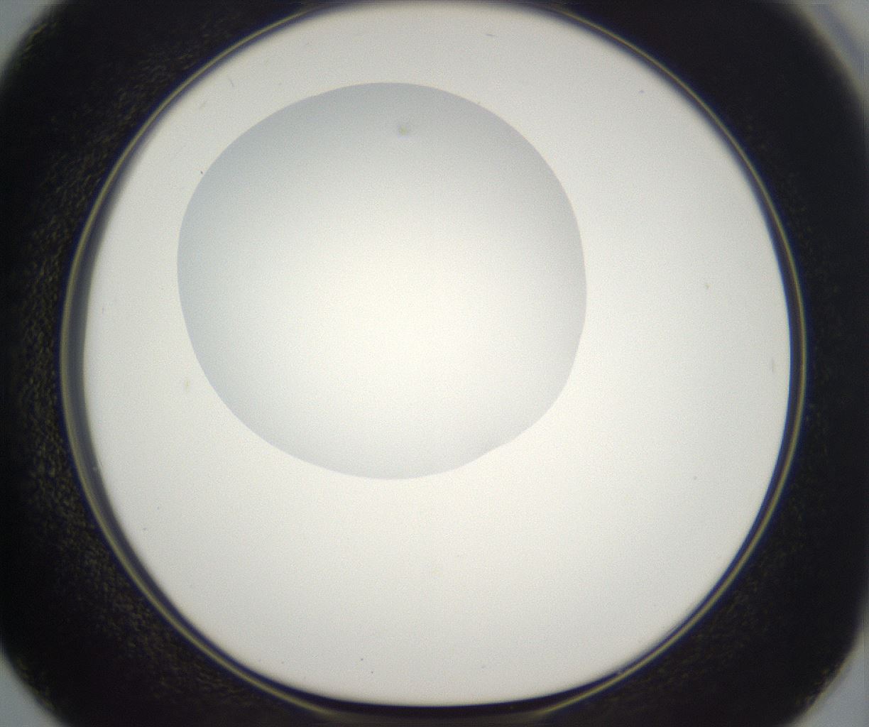 folderID298_plateID2298_batchID10853_wellNum50_profileID1_d1_r161567_ef.jpg