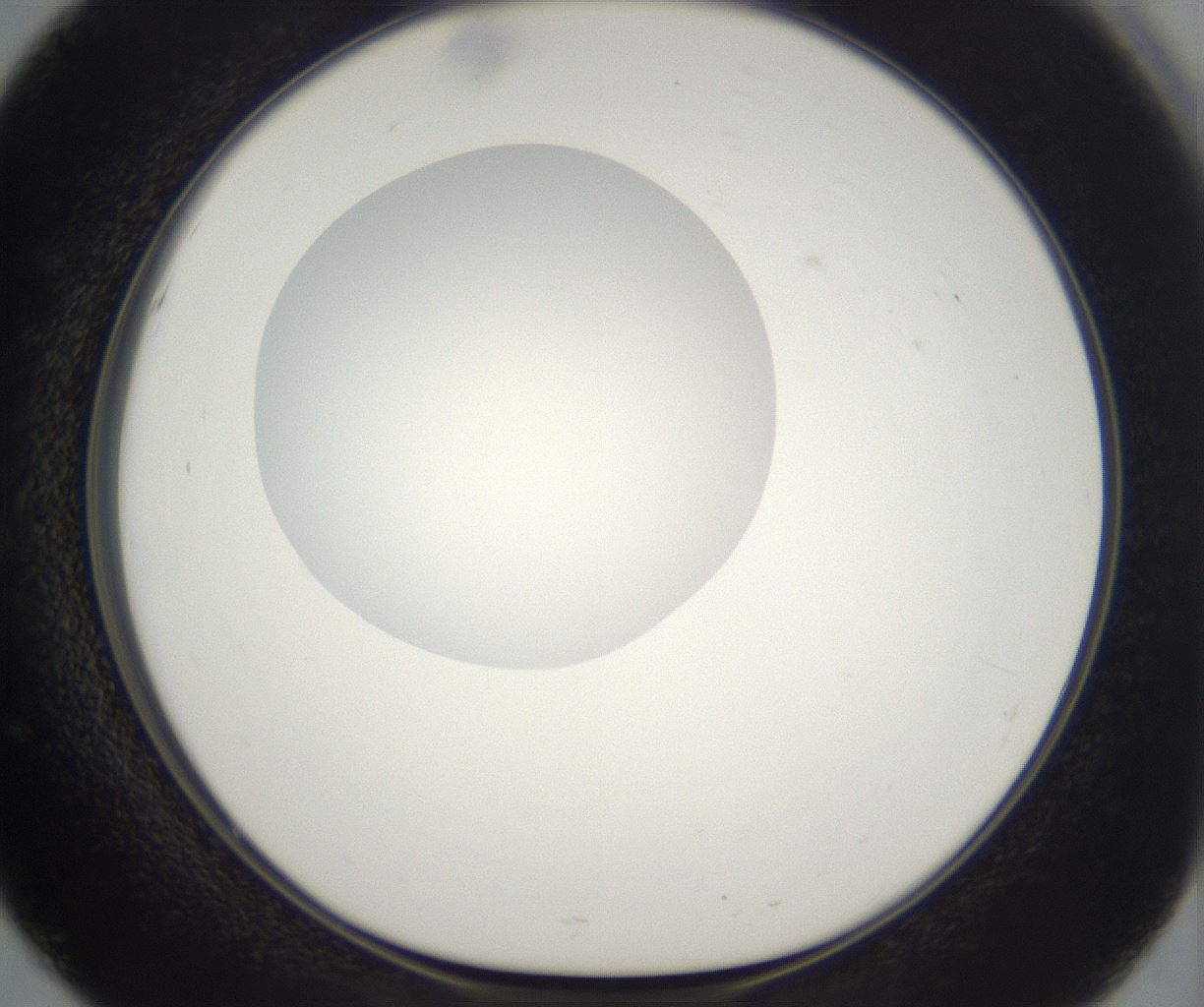 folderID298_plateID2298_batchID10853_wellNum51_profileID1_d1_r161568_ef.jpg