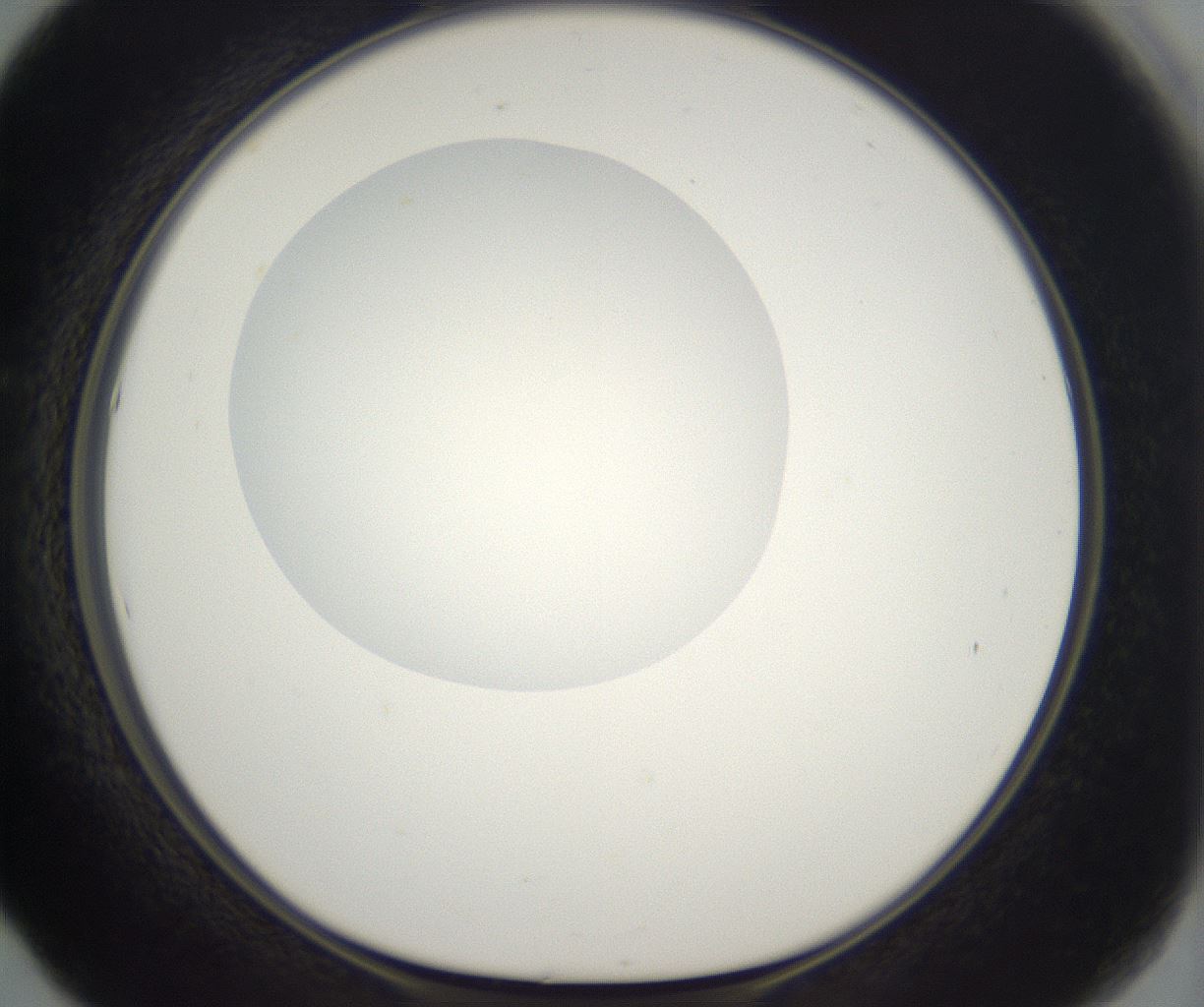folderID298_plateID2298_batchID10853_wellNum53_profileID1_d1_r161570_ef.jpg