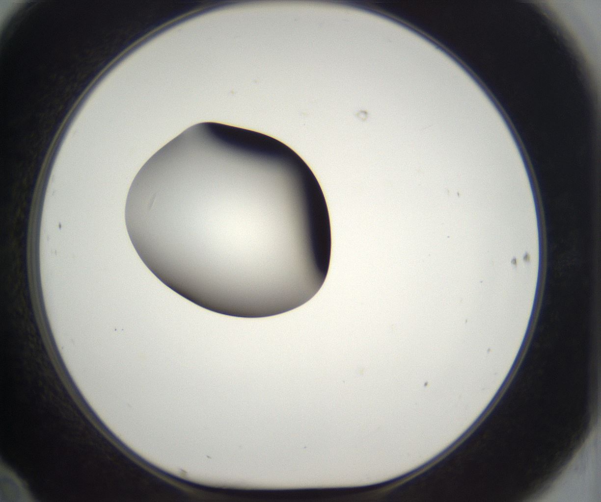 folderID298_plateID2298_batchID10853_wellNum70_profileID1_d1_r161587_ef.jpg