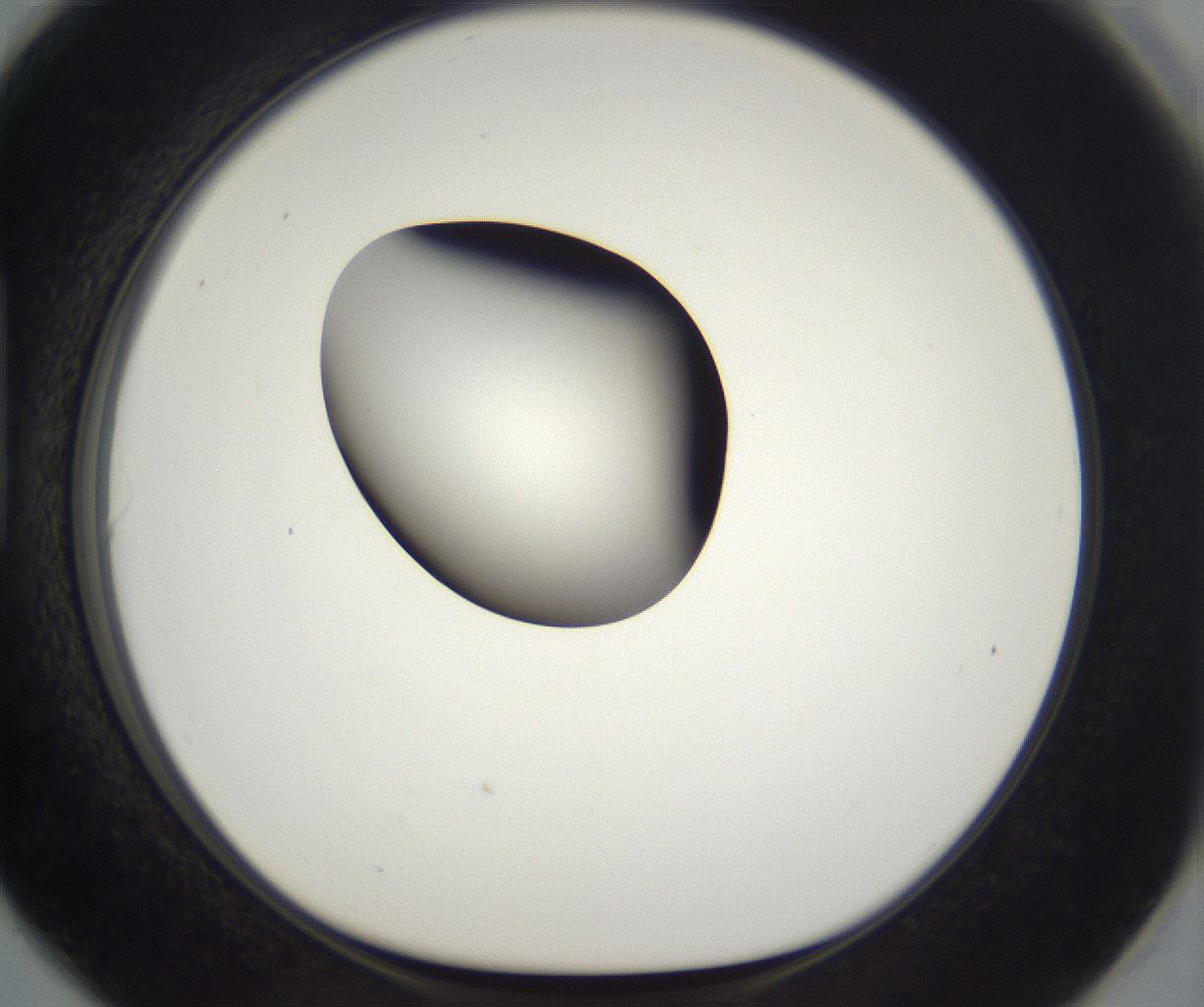 folderID298_plateID2298_batchID10853_wellNum90_profileID1_d1_r161607_ef.jpg