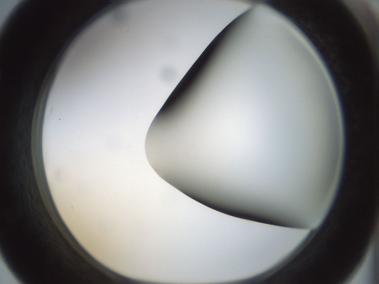 folderID299_plateID1299_batchID4267_wellNum67_profileID1_d1_r78650_ef.jpg