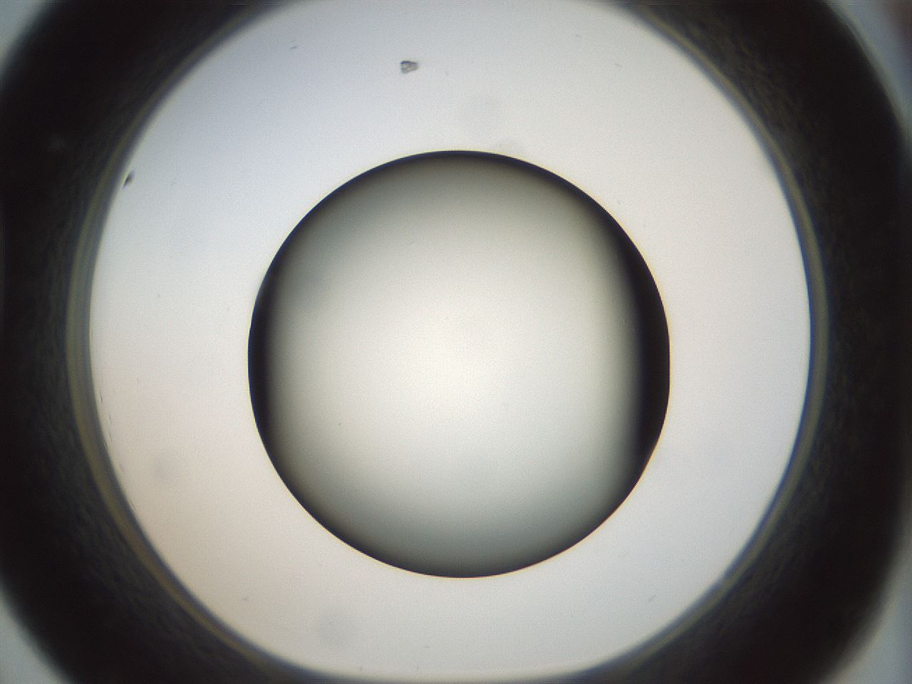 folderID299_plateID1299_batchID4267_wellNum44_profileID1_d1_r78627_ef.jpg