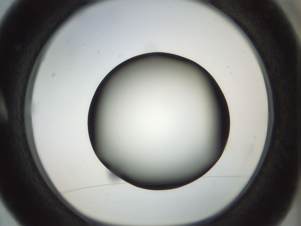folderID299_plateID1299_batchID4267_wellNum5_profileID1_d1_r78588_ef.jpg