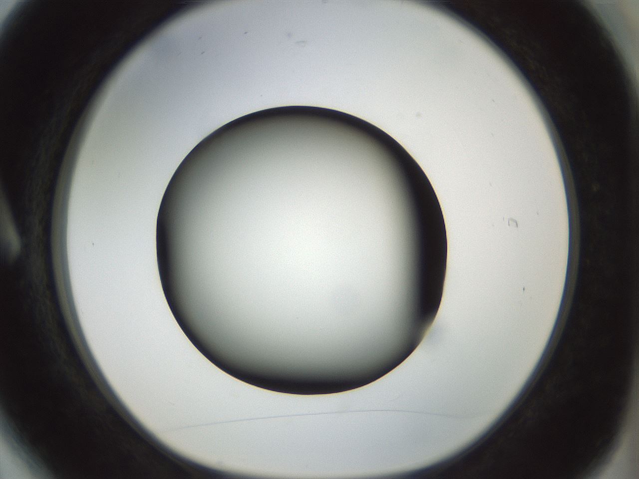 folderID299_plateID1299_batchID4267_wellNum6_profileID1_d1_r78589_ef.jpg