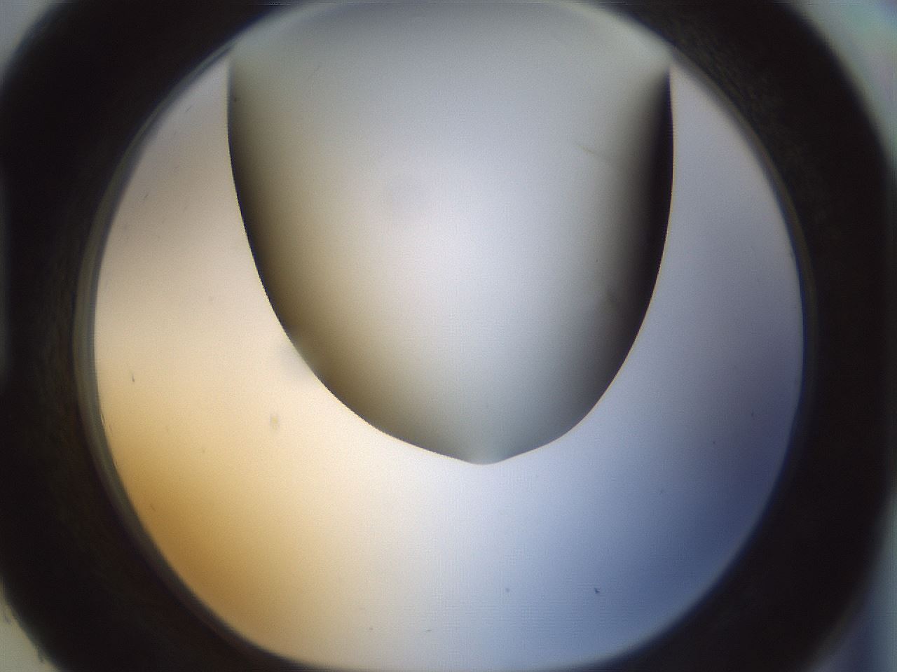folderID299_plateID1299_batchID4267_wellNum93_profileID1_d1_r78676_ef.jpg