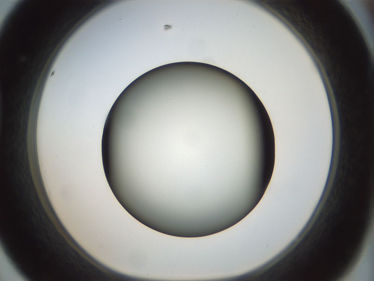 folderID299_plateID1299_batchID4304_wellNum44_profileID1_d1_r78627_ef.jpg