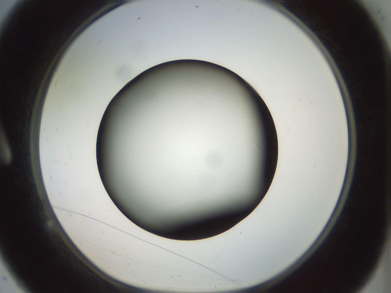 folderID299_plateID1299_batchID4304_wellNum9_profileID1_d1_r78592_ef.jpg