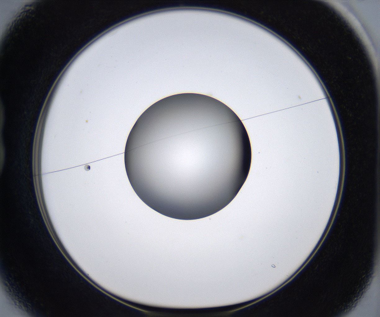 folderID299_plateID2299_batchID10844_wellNum13_profileID1_d1_r160954_ef.jpg