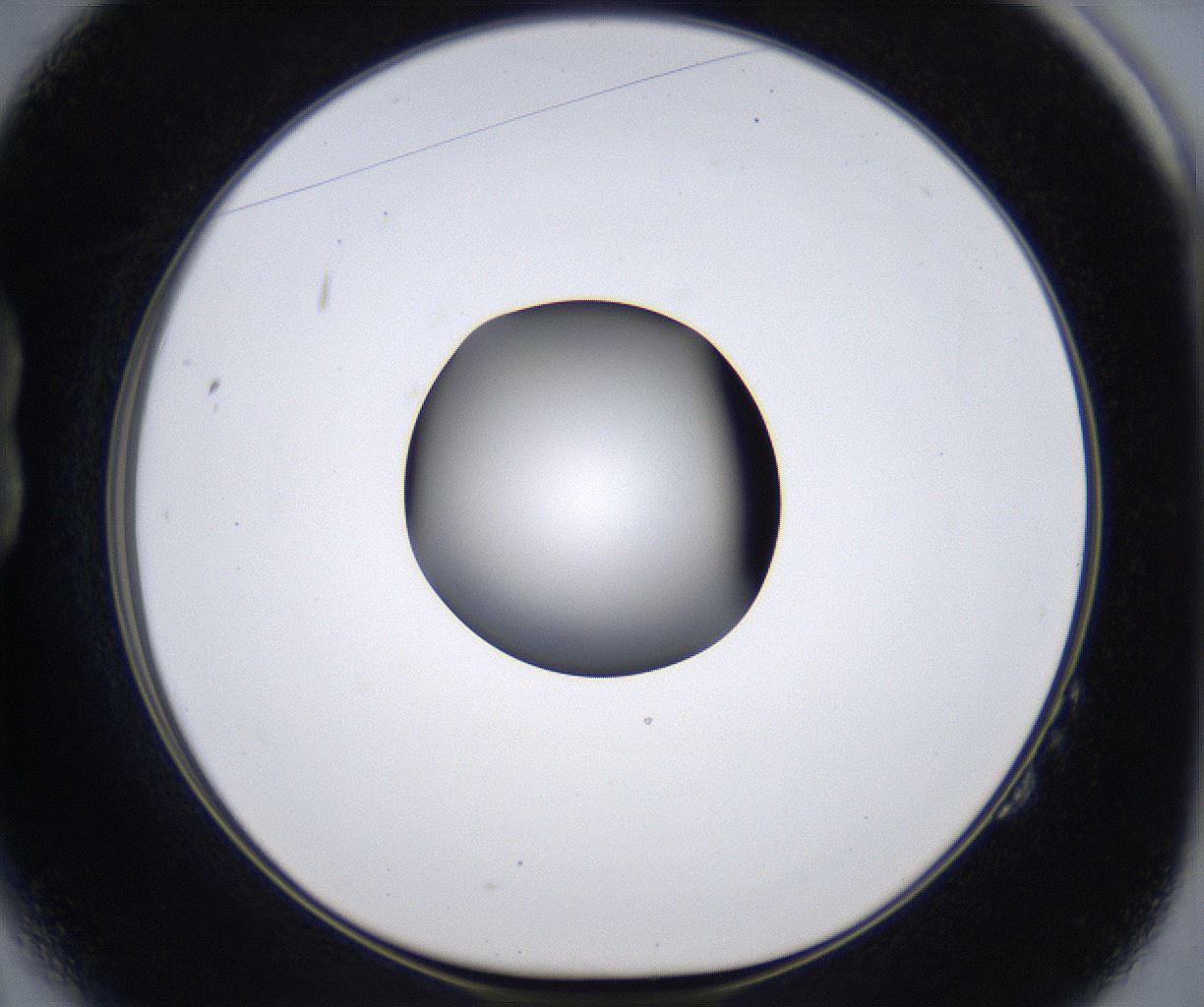 folderID299_plateID2299_batchID10844_wellNum14_profileID1_d1_r160955_ef.jpg