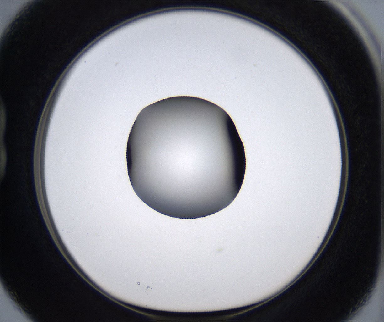 folderID299_plateID2299_batchID10844_wellNum15_profileID1_d1_r160956_ef.jpg