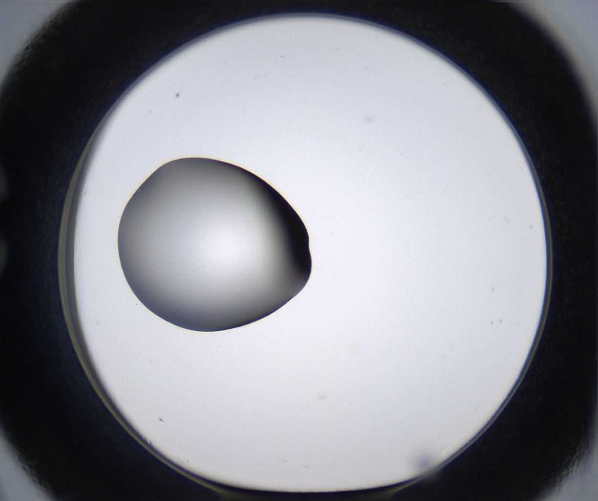 folderID299_plateID2299_batchID10844_wellNum33_profileID1_d1_r160974_ef.jpg