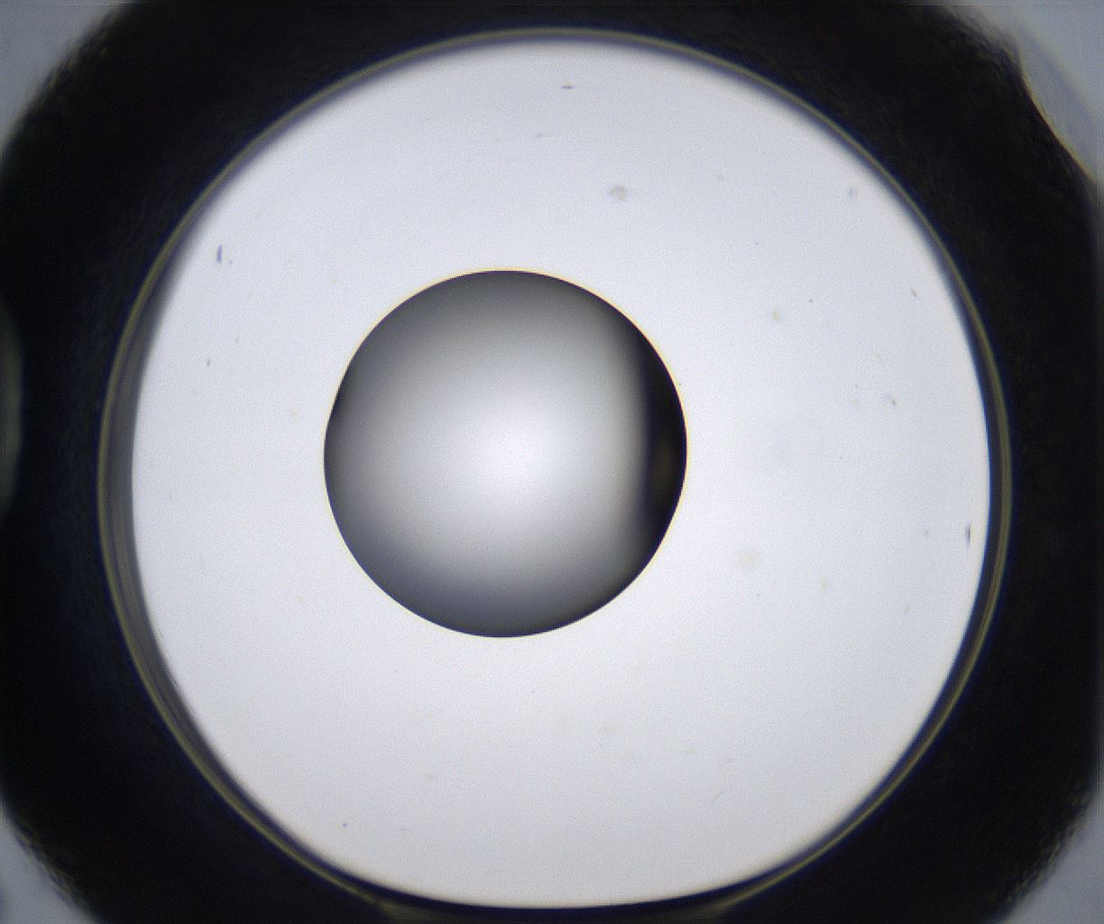 folderID299_plateID2299_batchID10844_wellNum42_profileID1_d1_r160983_ef.jpg