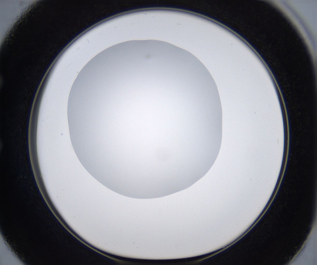 folderID299_plateID2299_batchID10844_wellNum50_profileID1_d1_r160991_ef.jpg