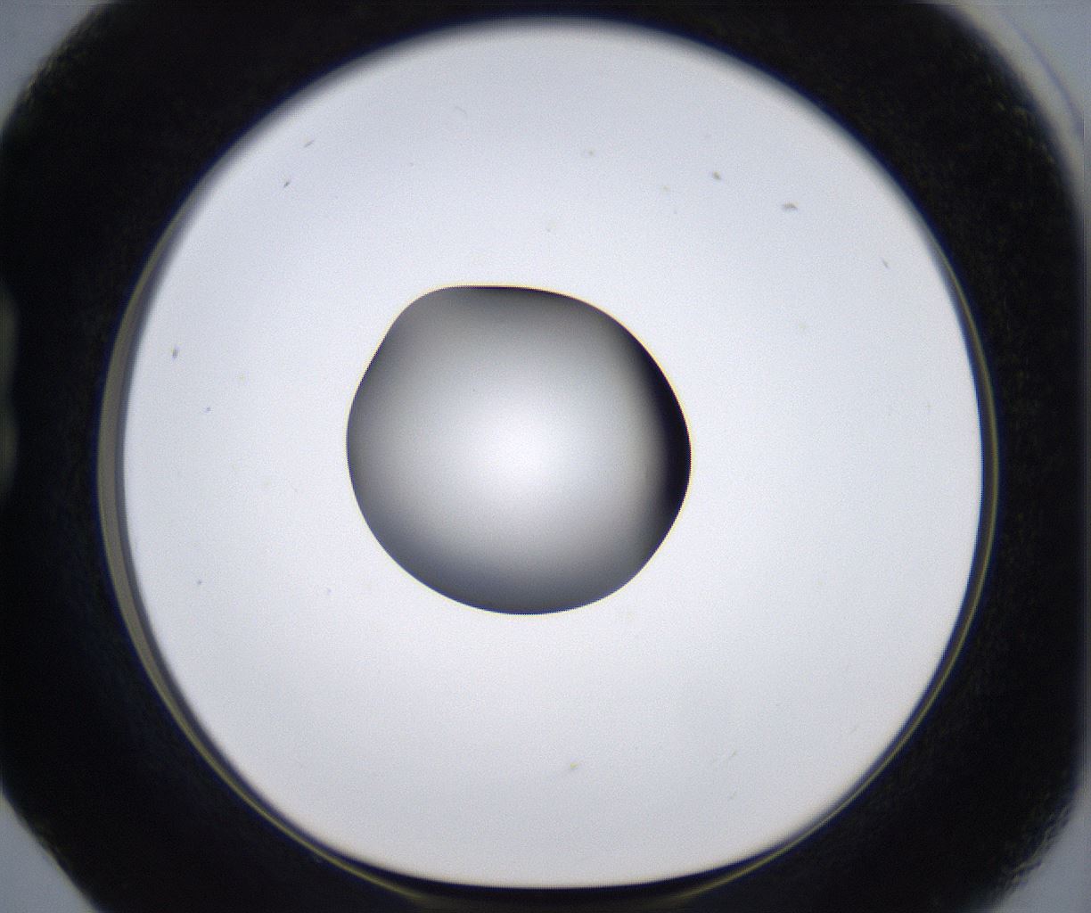folderID299_plateID2299_batchID10844_wellNum17_profileID1_d1_r160958_ef.jpg