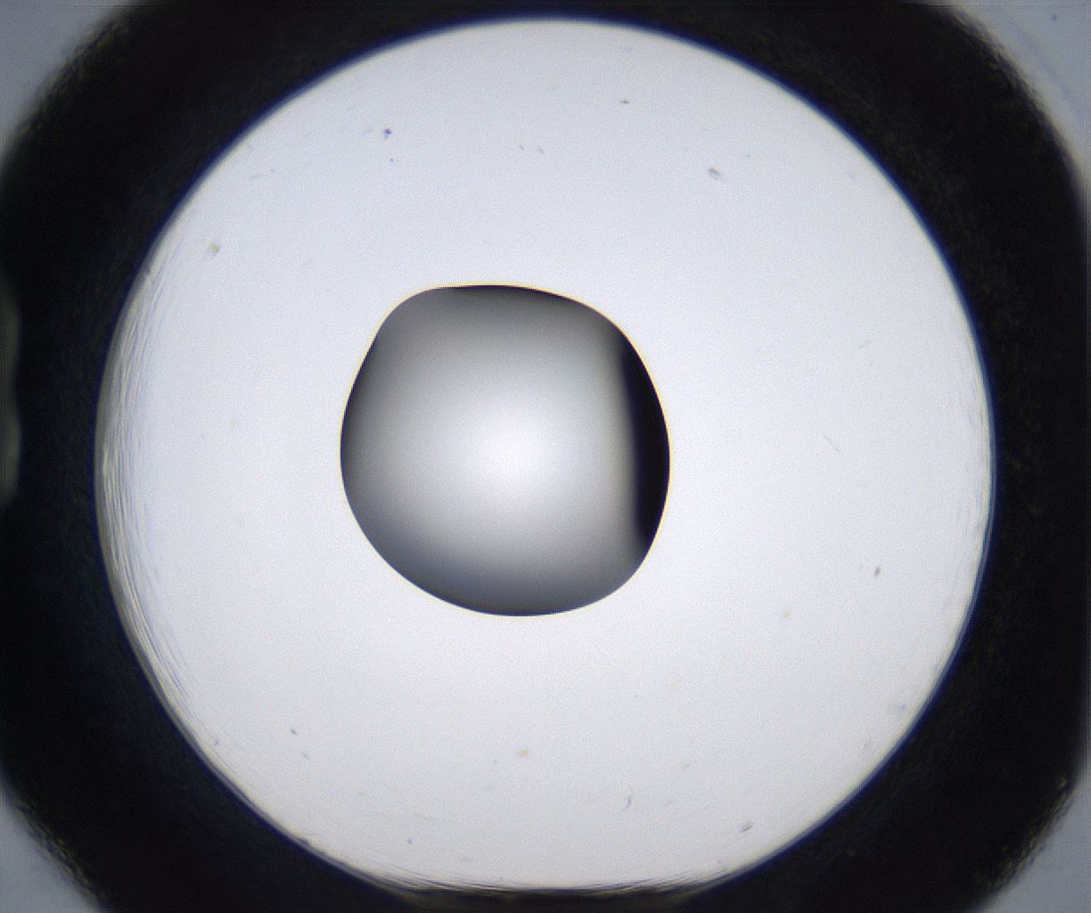 folderID299_plateID2299_batchID10844_wellNum18_profileID1_d1_r160959_ef.jpg