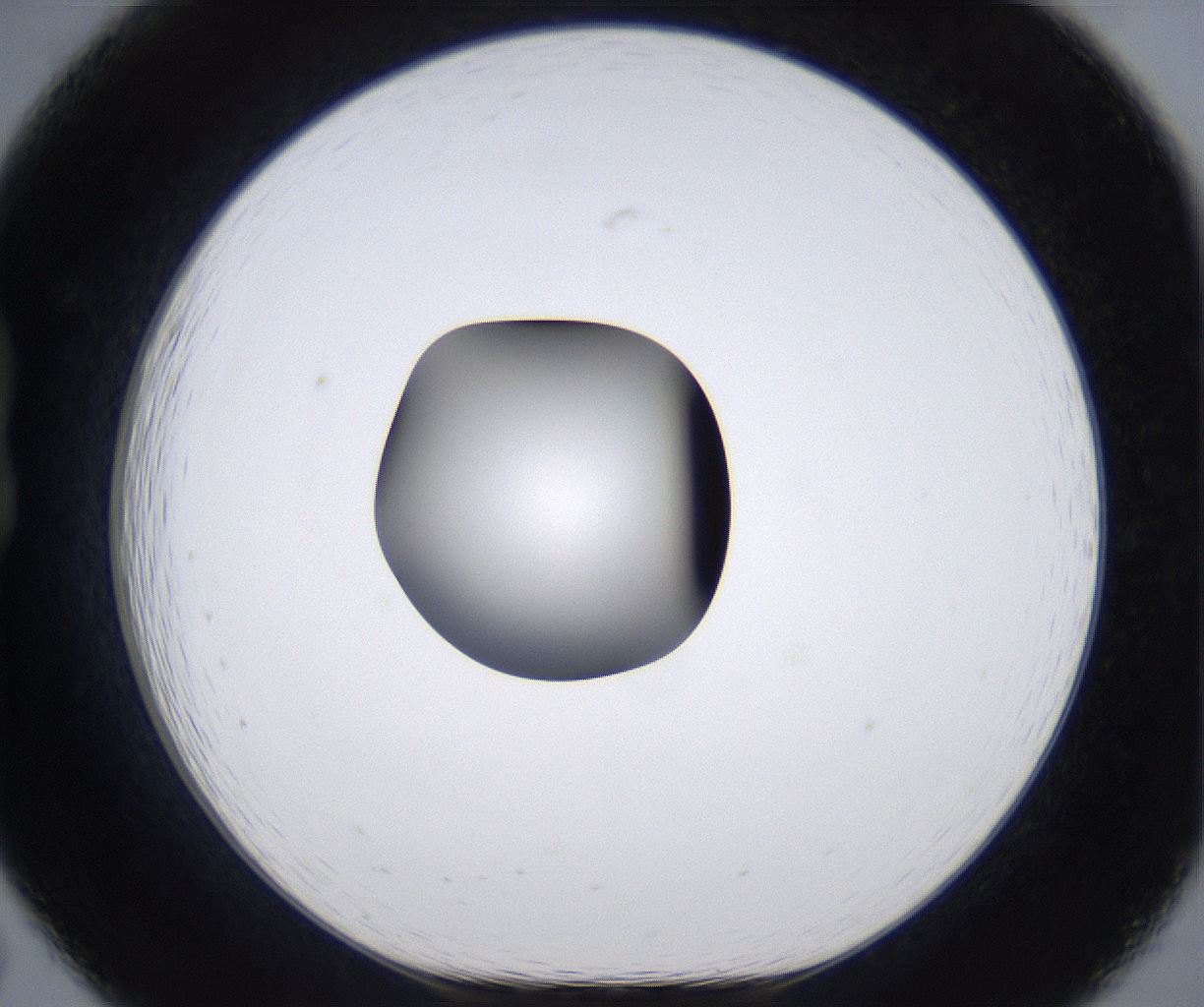 folderID299_plateID2299_batchID10844_wellNum19_profileID1_d1_r160960_ef.jpg
