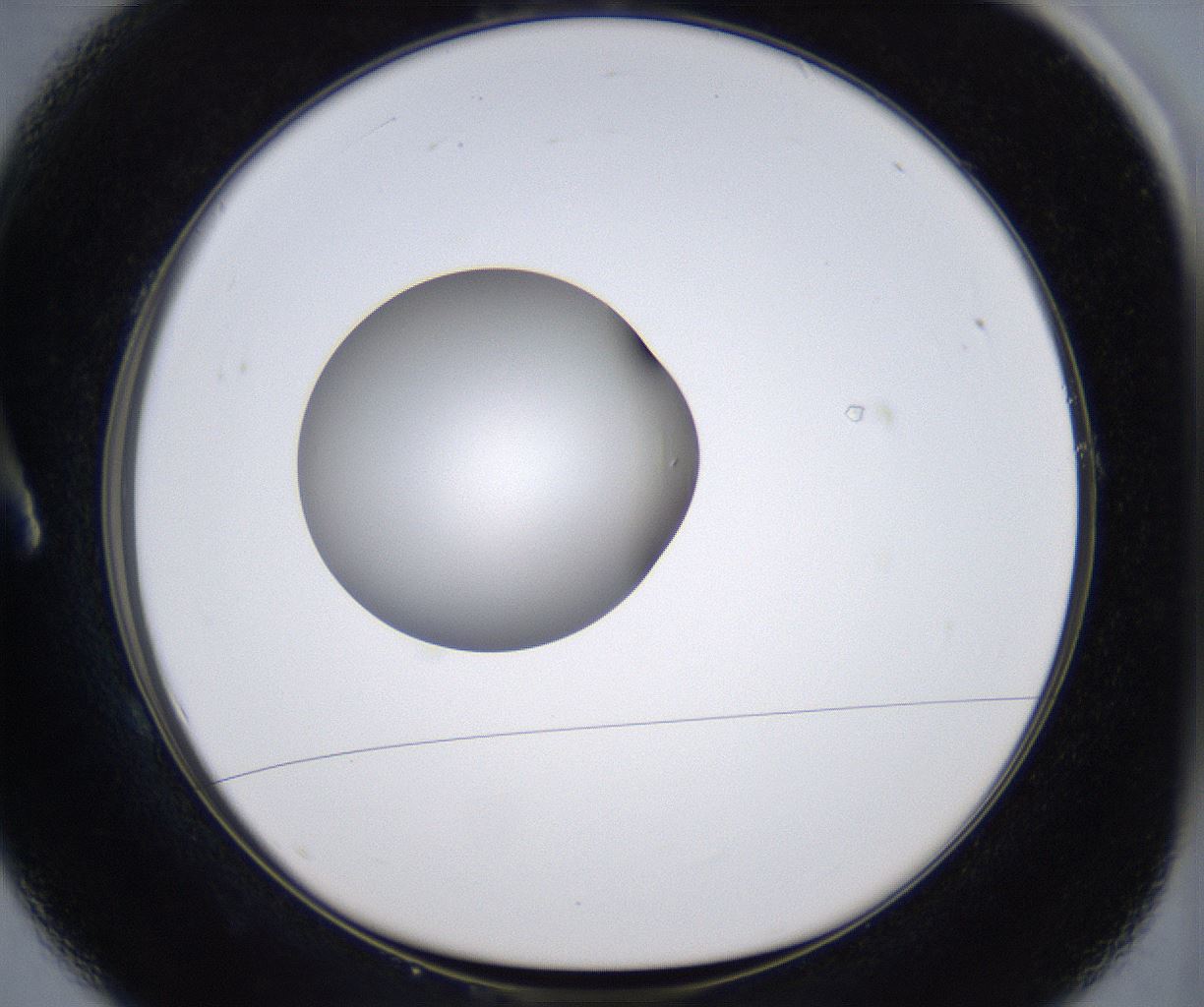 folderID299_plateID2299_batchID10844_wellNum1_profileID1_d1_r160942_ef.jpg